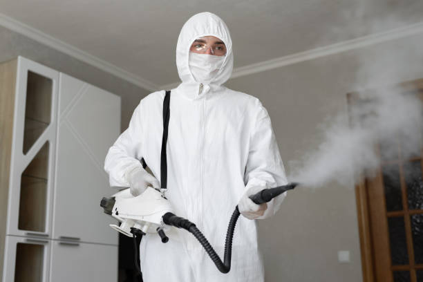 Why You Should Choose Our Mold Remediation Services in Oak Forest, IL